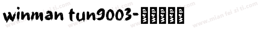 winman tun9003字体转换